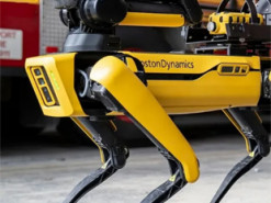 Нідерландська поліція тестує робопсів Boston Dynamics для рейдів на нарколабораторії