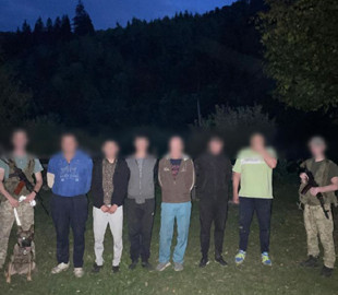 По гриби із закордонним паспортом: на Закарпатті ухилянти придумали схему, як втекти за кордон