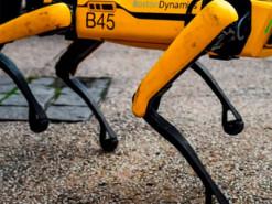 Полиция США сняла робота со службы после протестов населения