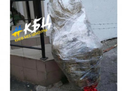 Еще один сдался: в Киеве в начале июля выбросили новогоднюю елку. Фото