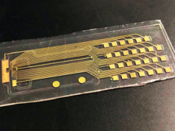 Американские учёные создали биоэлектронное устройство для управления ростом клеток человека