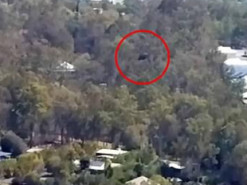 Встреча с неизведанным: австралиец рассказал, что его дрон сбил НЛО размером с автомобиль