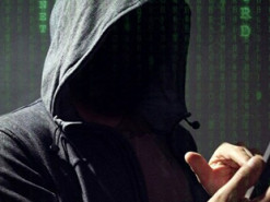 Закарпаття: шахраї спекулюють на підтримці армії