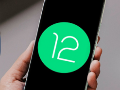 Четыре популярных смартфона Xiaomi и Redmi получили Android 12