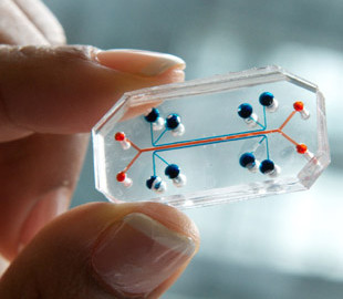 Сила мысли. Как улучшить жизнь с помощью вживленных в человека чипов