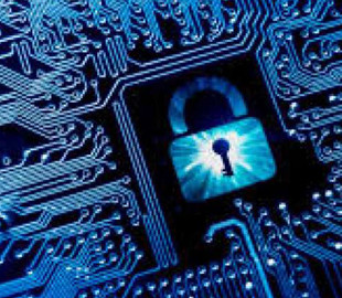 Германия будет сотрудничать с партнерами в борьбе против киберпреступности