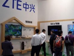 ZTE сняла с должности главного юриста за месяц до санкций США