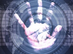 В Adobe Reader и Windows обнаружены уязвимости «нулевого дня»