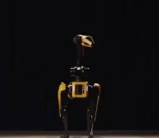 Роботы-псы Boston Dynamics станцевали под музыку The Rolling Stones