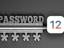 Менеджеры паролей в iOS 12 получат функцию автозаполнения