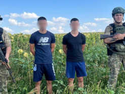 Тікали від повісток соняшниковим полем: на Одещині спіймали "на гарячому" трьох ухилянтів