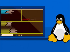Microsoft значительно упростила запуск Linux-приложений в Windows 11