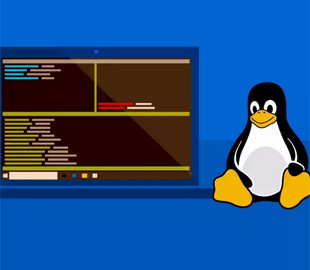 Microsoft значительно упростила запуск Linux-приложений в Windows 11