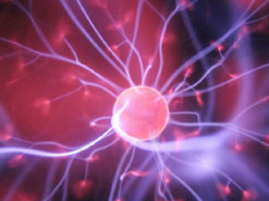 Китайським інженерам вдалося інтегрувати чип в мозок не відкриваючи череп