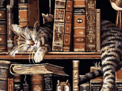 Кот-книголюб повеселил Сеть