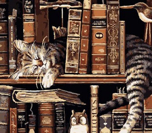 Кот-книголюб повеселил Сеть