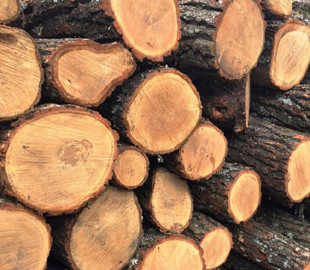 Взимку бучанцям допомагатимуть із дровами