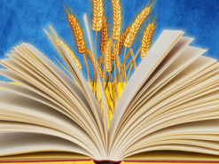 Створено сайт для іноземців, які вивчають українську