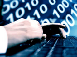 Выяснилось, как работает мозг программистов