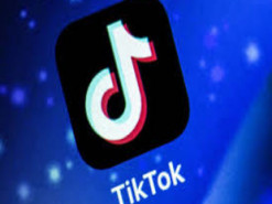 Две технокорпорации предложили купить TikTok за 20 млрд. долларов 