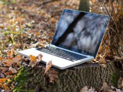 Специалисты назвали четыре способа узнать забытый пароль от сети Wi-Fi