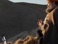 Найкрутіша робота у світі: потрібно сидіти в інтернеті за $10 000 на тиждень