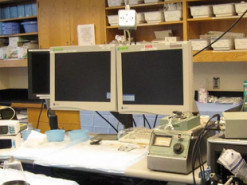 Компьютеры научились предсказывать сердечные приступы