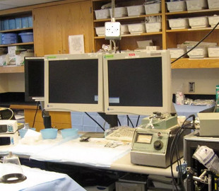 Компьютеры научились предсказывать сердечные приступы