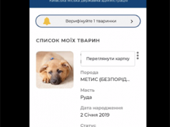 В Киеве потерявшихся животных будут искать с помощью QR-кодов