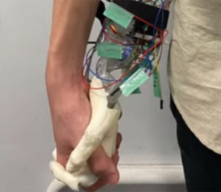 В Японии изобрели роборуку для одиноких людей