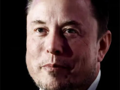 Німецькі політики критикують статтю Маска про АдН