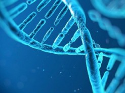 Ученые: Генеалогические сайты позволят найти любого преступника