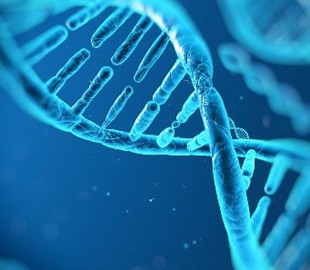 Ученые: Генеалогические сайты позволят найти любого преступника