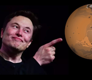 «Лети на Марс»: Сікорський зреагував на заклики Маска «ліквідувати» ЄС