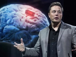 Илон Маск анонсировал демонстрацию электронного мозга Neuralink 