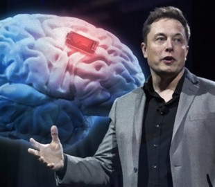 Илон Маск анонсировал демонстрацию электронного мозга Neuralink 