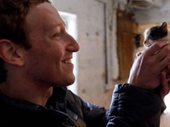 Цукерберг назвал свою цель на 2018 год