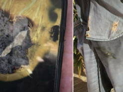 Гаджеты снова взрываются: на Apple подали в суд