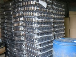 У Запоріжжі через мобільні додатки продавали контрафакт