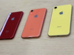 iPhone XR превзойдет iPhone 8 и iPhone 8 Plus по продажам на 50%