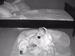 Родители установили видеоняню в комнате у малыша и очень удивились увиденному