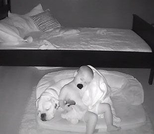 Родители установили видеоняню в комнате у малыша и очень удивились увиденному