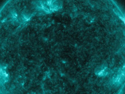 NASA опубликовало видео мощной вспышки на Солнце