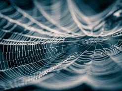 Интернет-трафик в Украине растет от самоизоляции юзеров, но не все провайдеры это выдержат