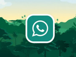 Клоны WhatsApp оказались функциональнее оригинала