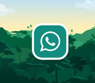 Клоны WhatsApp оказались функциональнее оригинала