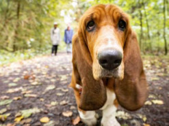 Задощить та похолодшає. Синоптик дала прогноз погоди в Україні на завтра 