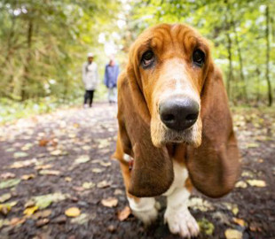Задощить та похолодшає. Синоптик дала прогноз погоди в Україні на завтра 