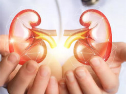 6 порад, які дозволять зберегти ваші нирки здоровими