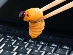 В следующем году появится новое поколение вредоносного ПО